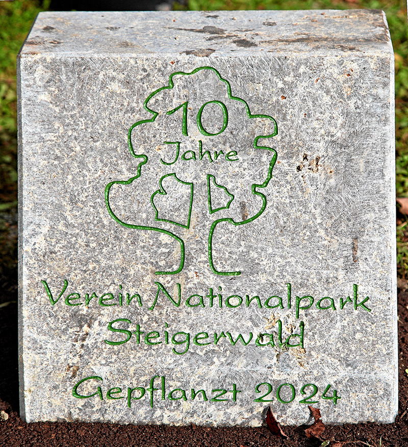 Jubiläumsbaum gepflanzt - 10 Jahre Bürgerverein Nationalpark Steigerwald e. V.