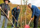 Jubiläumsbaum gepflanzt - 10 Jahre Bürgerverein Nationalpark Steigerwald e. V.