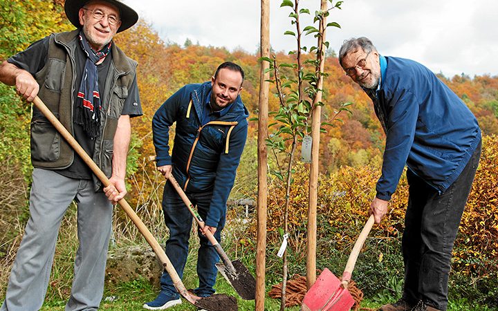 Jubiläumsbaum gepflanzt - 10 Jahre Bürgerverein Nationalpark Steigerwald e. V.