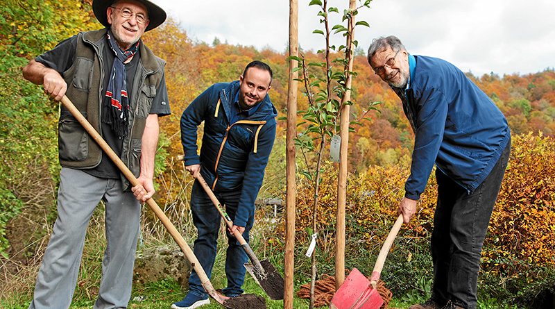 Jubiläumsbaum gepflanzt - 10 Jahre Bürgerverein Nationalpark Steigerwald e. V.