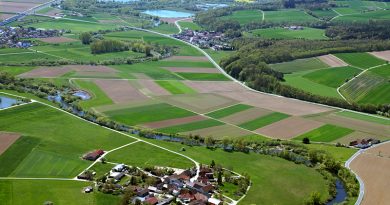 Der ökologische Wert einer der längsten frei fließenden Flussstrecken in Bayern Vortrag zum Main zwischen Banz und Bamberg