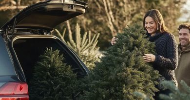 Weihnachtsbaum sicher transportieren – So geht’s richtig!