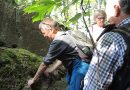 Geologische Wanderung im Steigerwald