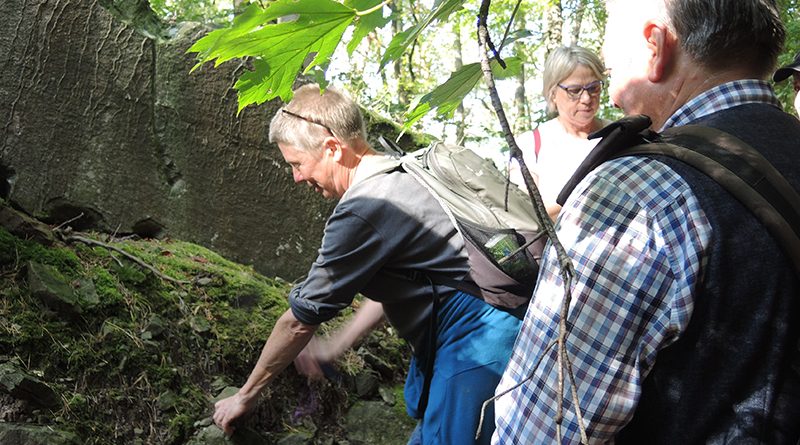 Geologische Wanderung im Steigerwald